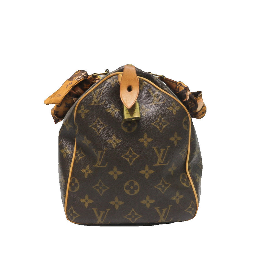 LOUIS VUITTON SPEEDY 30 MONOGRAM