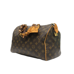 LOUIS VUITTON SPEEDY 30 MONOGRAM