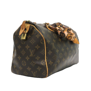 LOUIS VUITTON SPEEDY 30 MONOGRAM